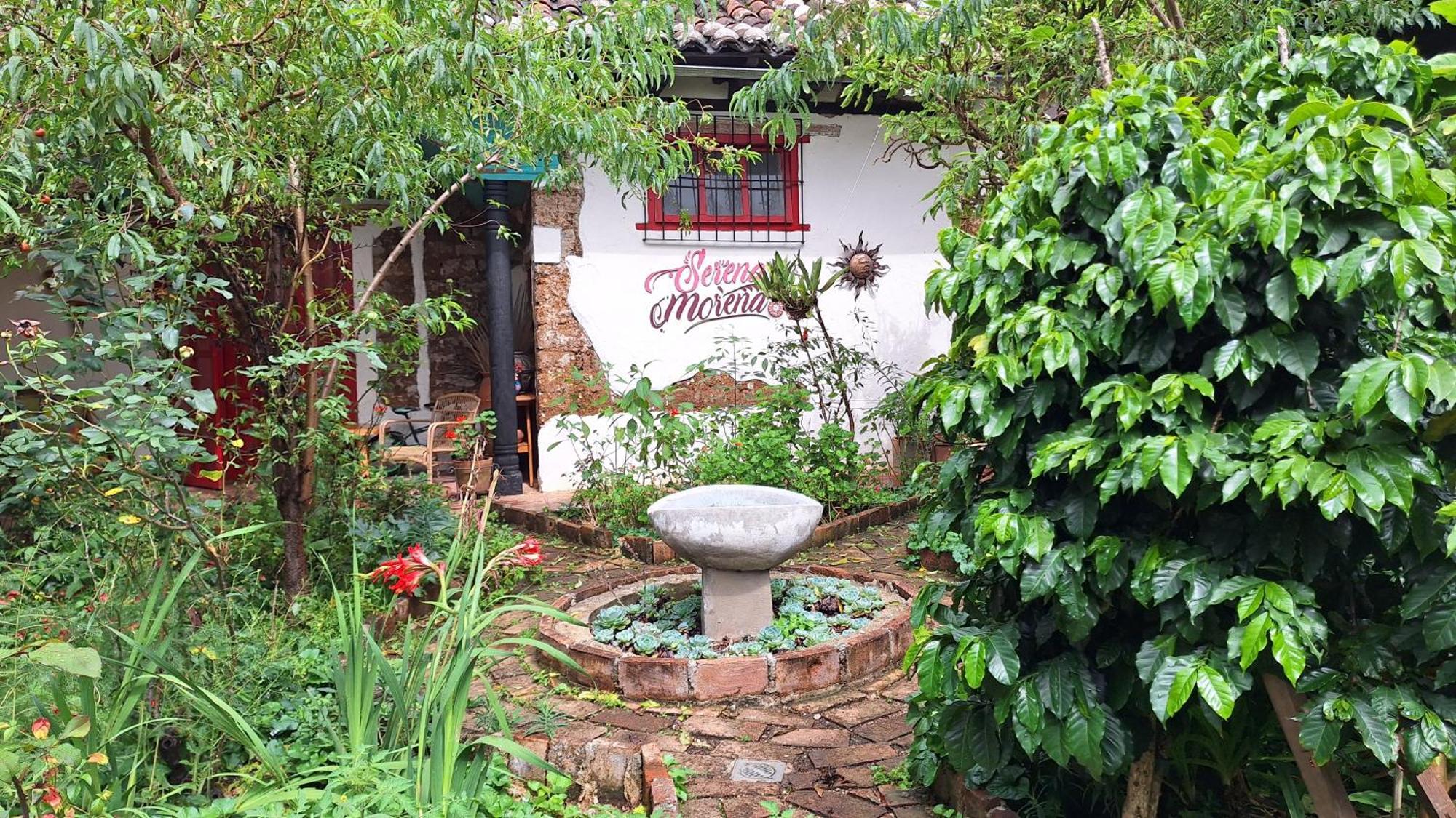 Serena Morena San Cristobal de las Casas Luaran gambar